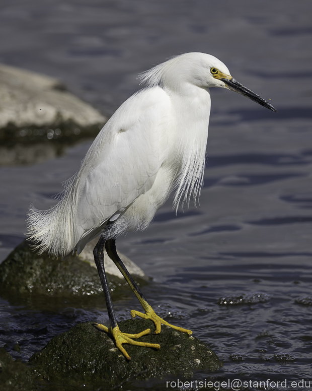 emily renzel wetlands 2023